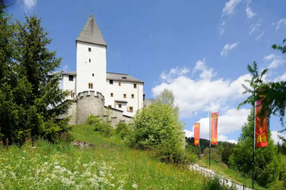 Austria Mauterndorf Castle Ticket