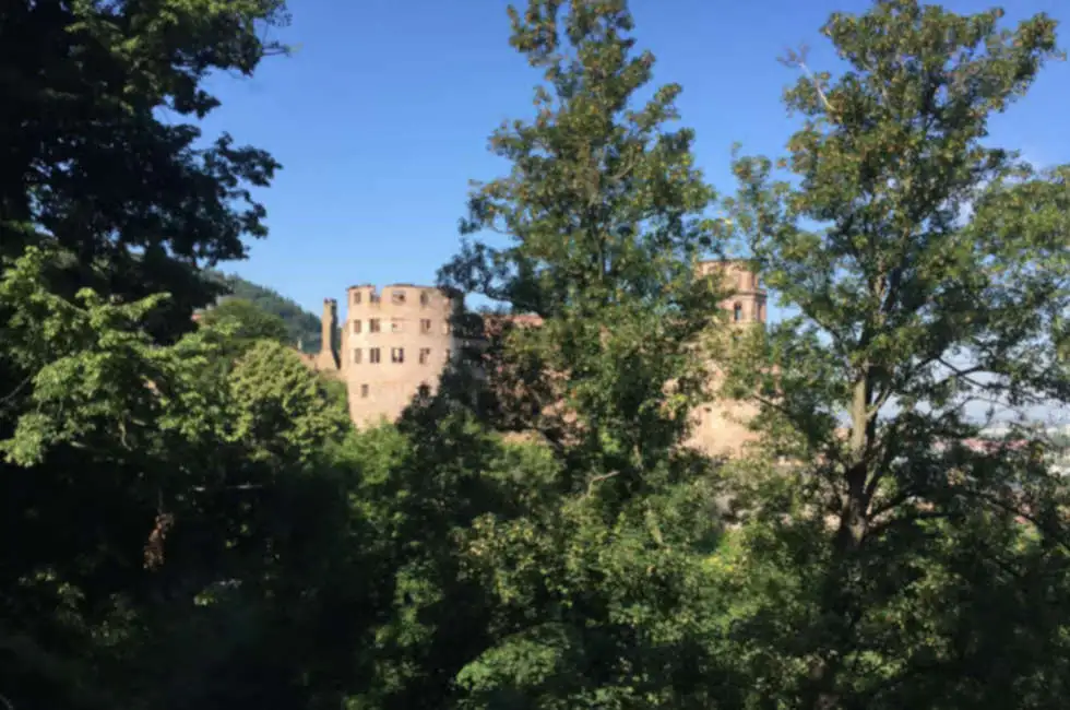 Heidelberg Castle Experience